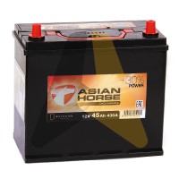 Asian Horse 45R узкие кл. 430A